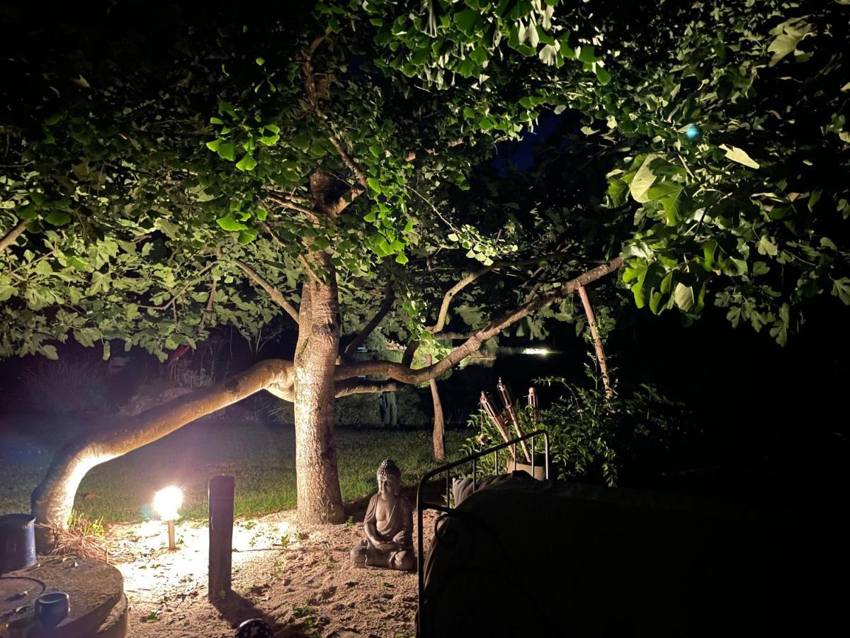 Le P'Tit Nid De Gabriel Bed & Breakfast Les Touches-de-Perigny Bagian luar foto